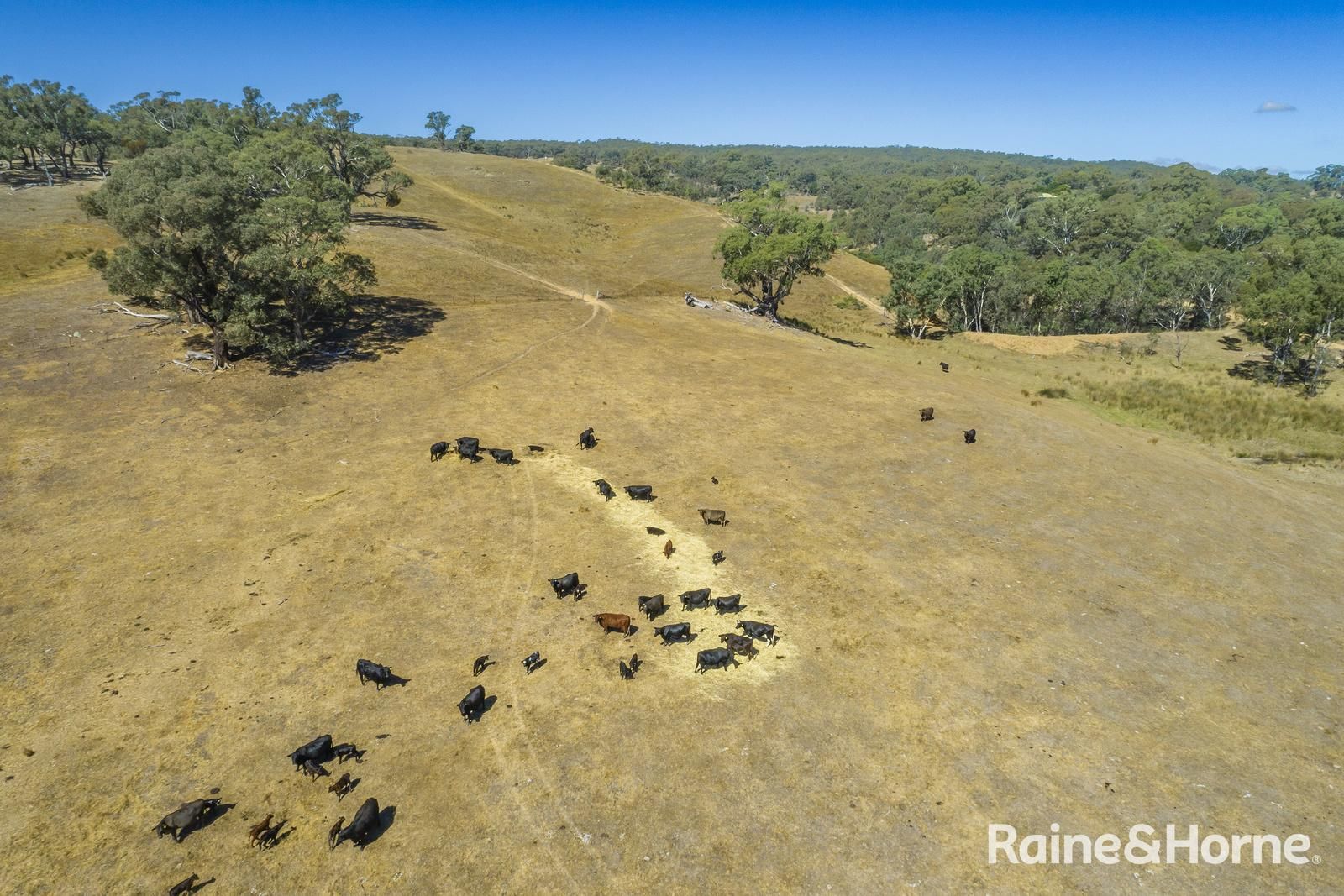 Corner of Goldfields & Kyneton Road, Metcalfe VIC 3448, Image 2