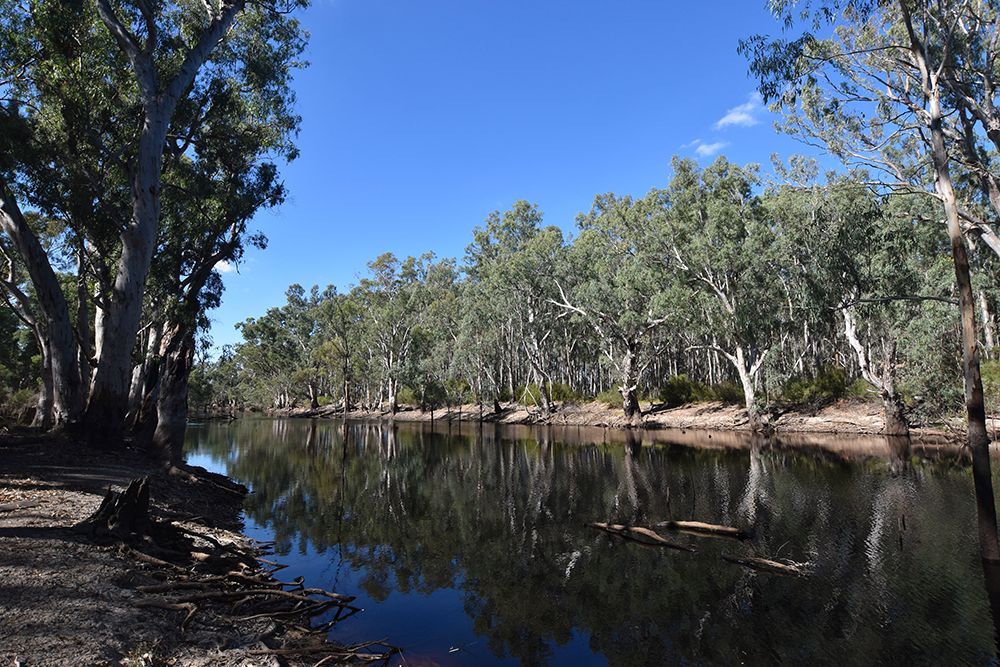 3 Hutchins Lane, Kotupna VIC 3638, Image 1