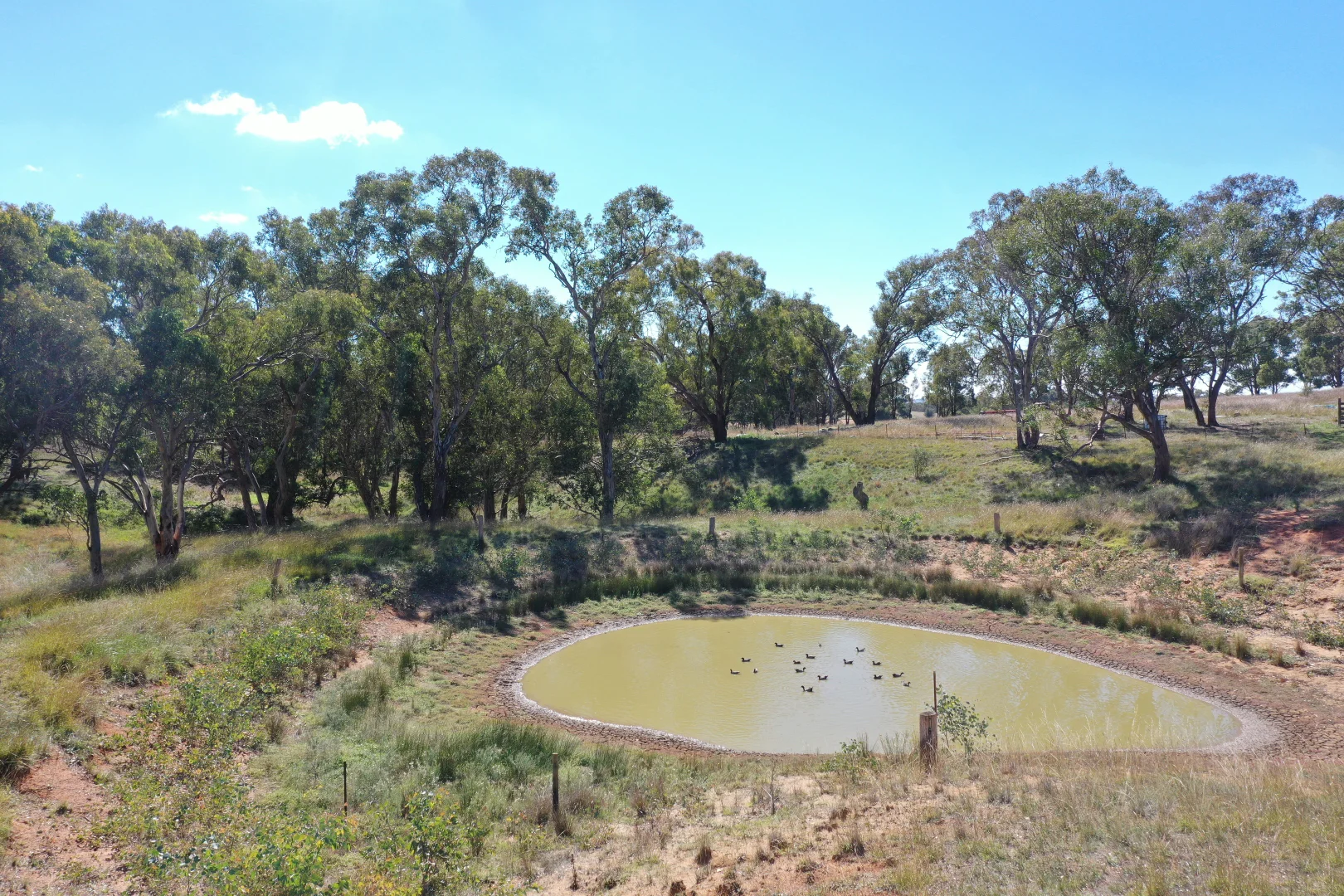 Additional image 20 of 216 Good Friday Gully Road Maimuru via, Young NSW 2594