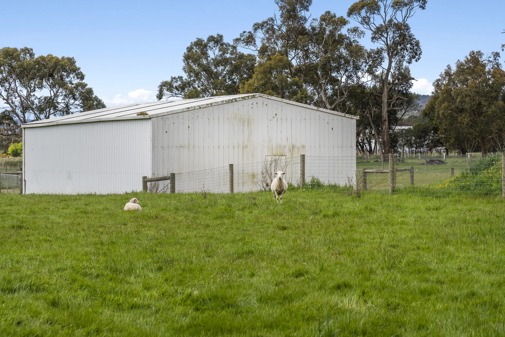 Additional image 6 of 98 Kronks Lane, Woodend VIC 3442