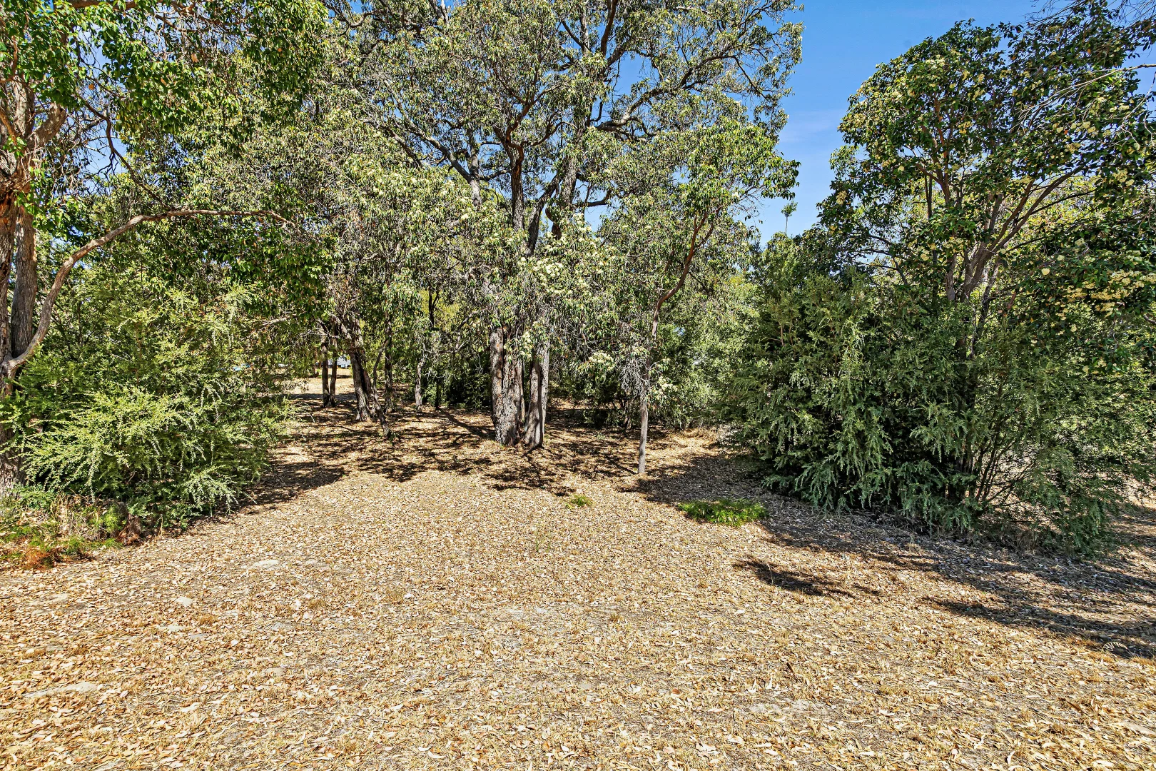 Additional image 11 of 18 Heathridge Road, Gelorup WA 6230