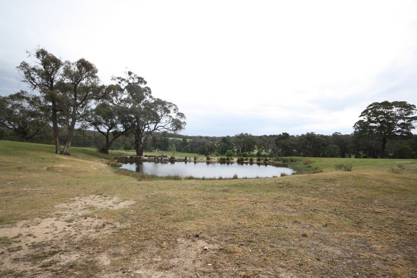 Lot 2 Musical Gully Road, Waterloo VIC 3373, Image 1