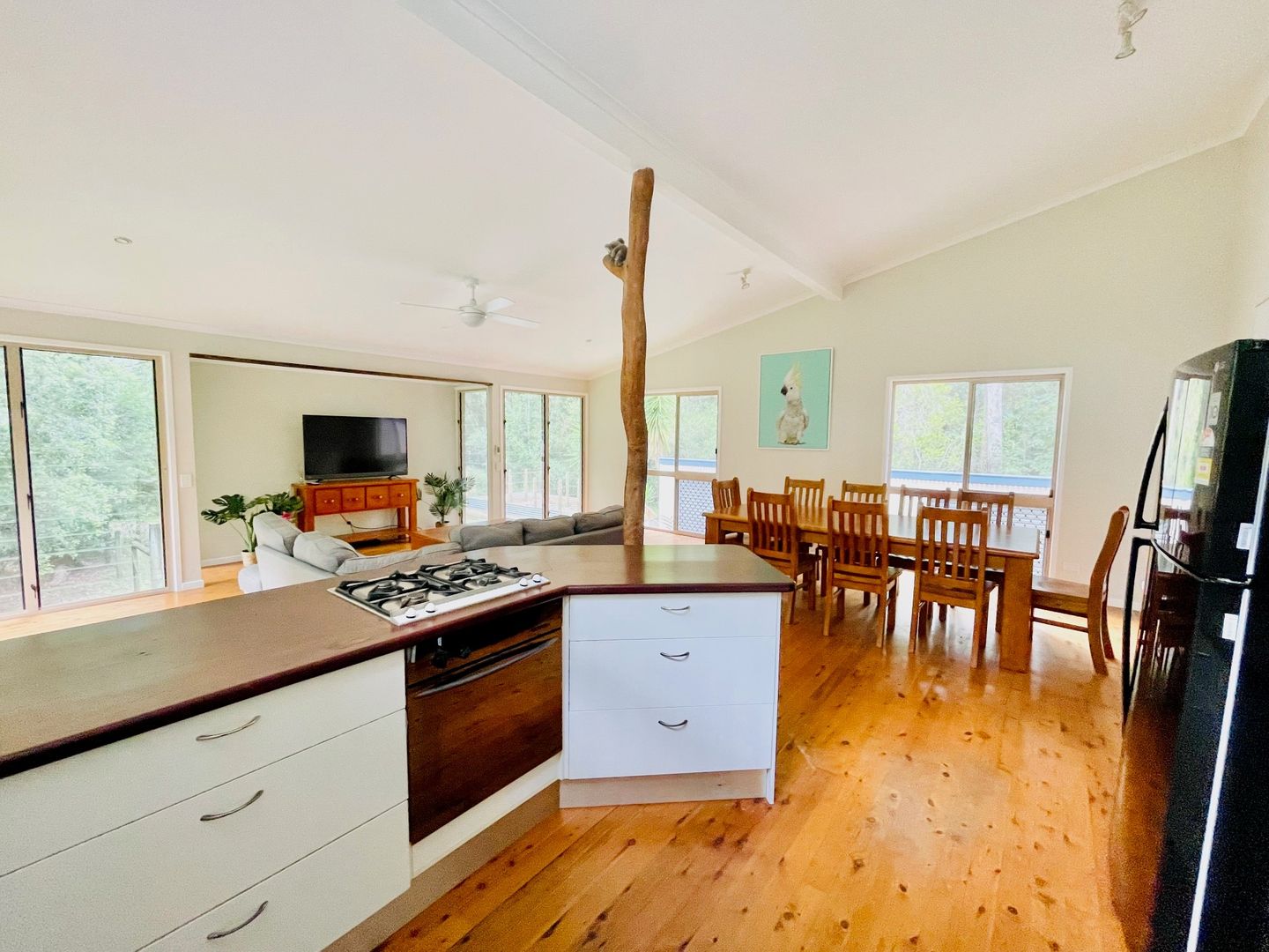 42 Bundoora Street, Cooroibah QLD 4565 House For Rent Domain