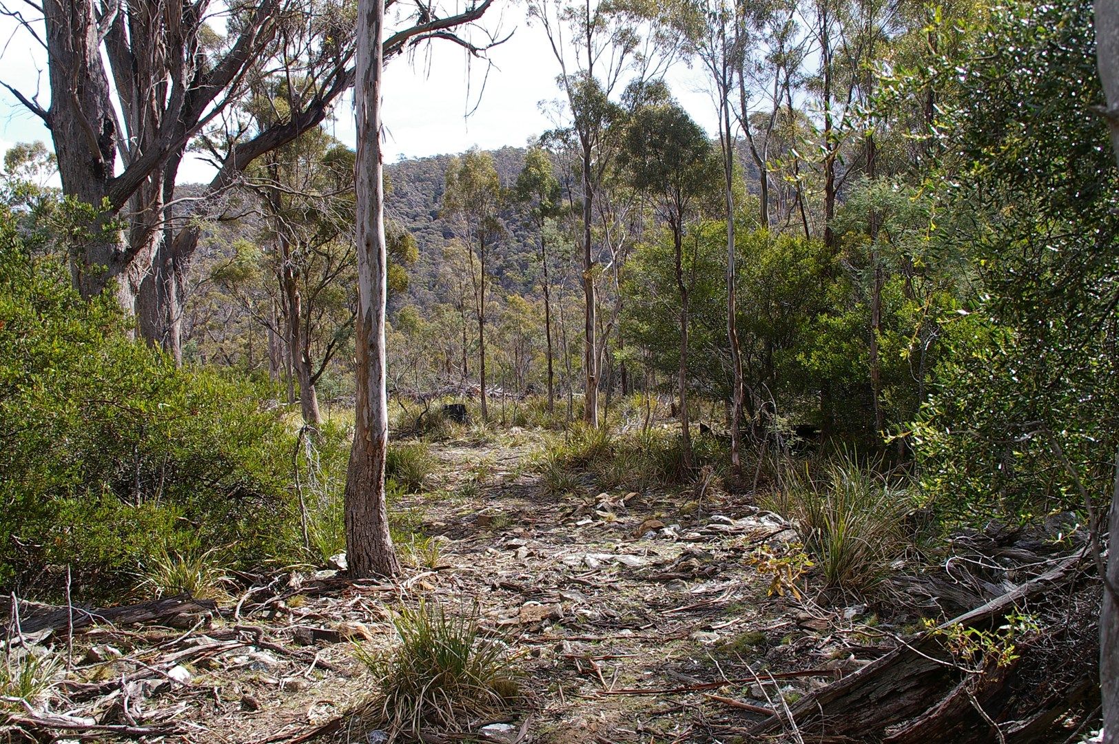 Lot 3 Distillery Track, Nunamara TAS 7259, Image 0