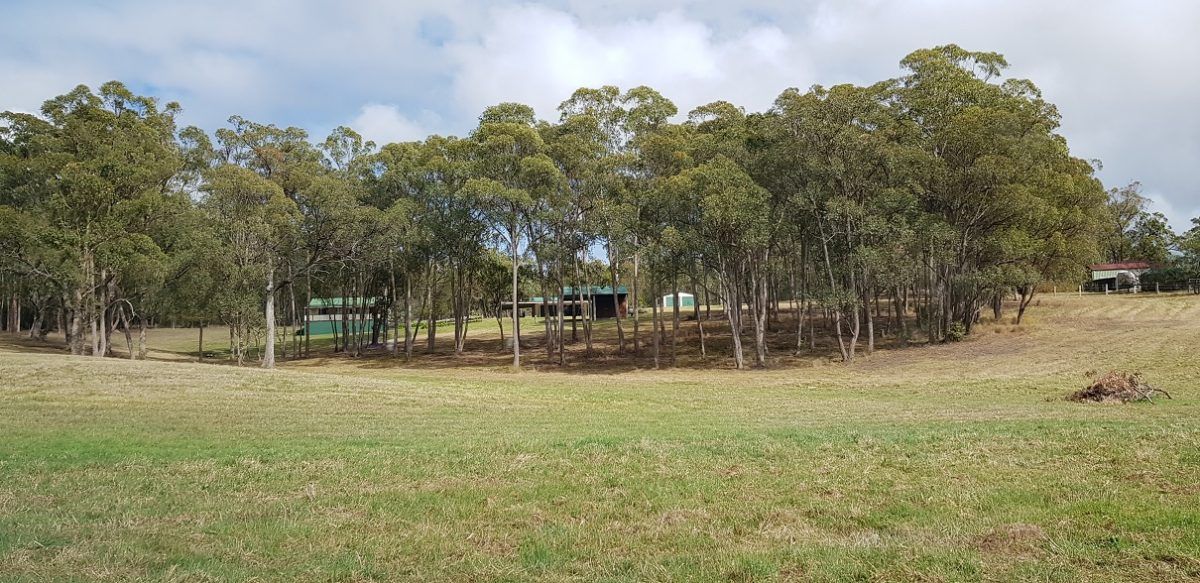 7 Cobbers Lane, Moruya NSW 2537, Image 0