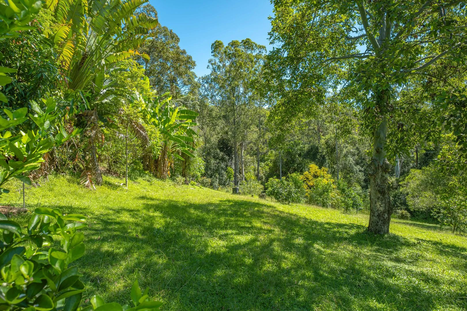 Additional image 18 of Conondale QLD 4552