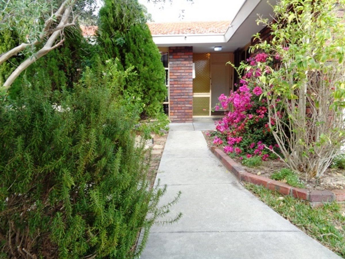 2 Cingalee Place, Craigie WA 6025 House For Rent Domain