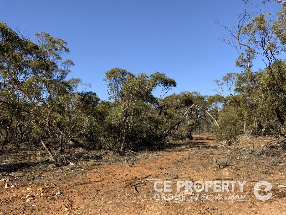 21 Hundred Line Road, Perponda SA 5308, Image 1