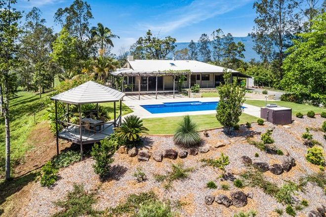 Picture of 149 HOGGS ROAD, TYALGUM CREEK NSW 2484