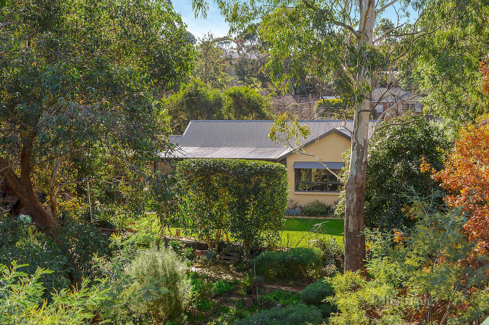 1/4 Currawong Lane, Greensborough VIC 3088, Image 0