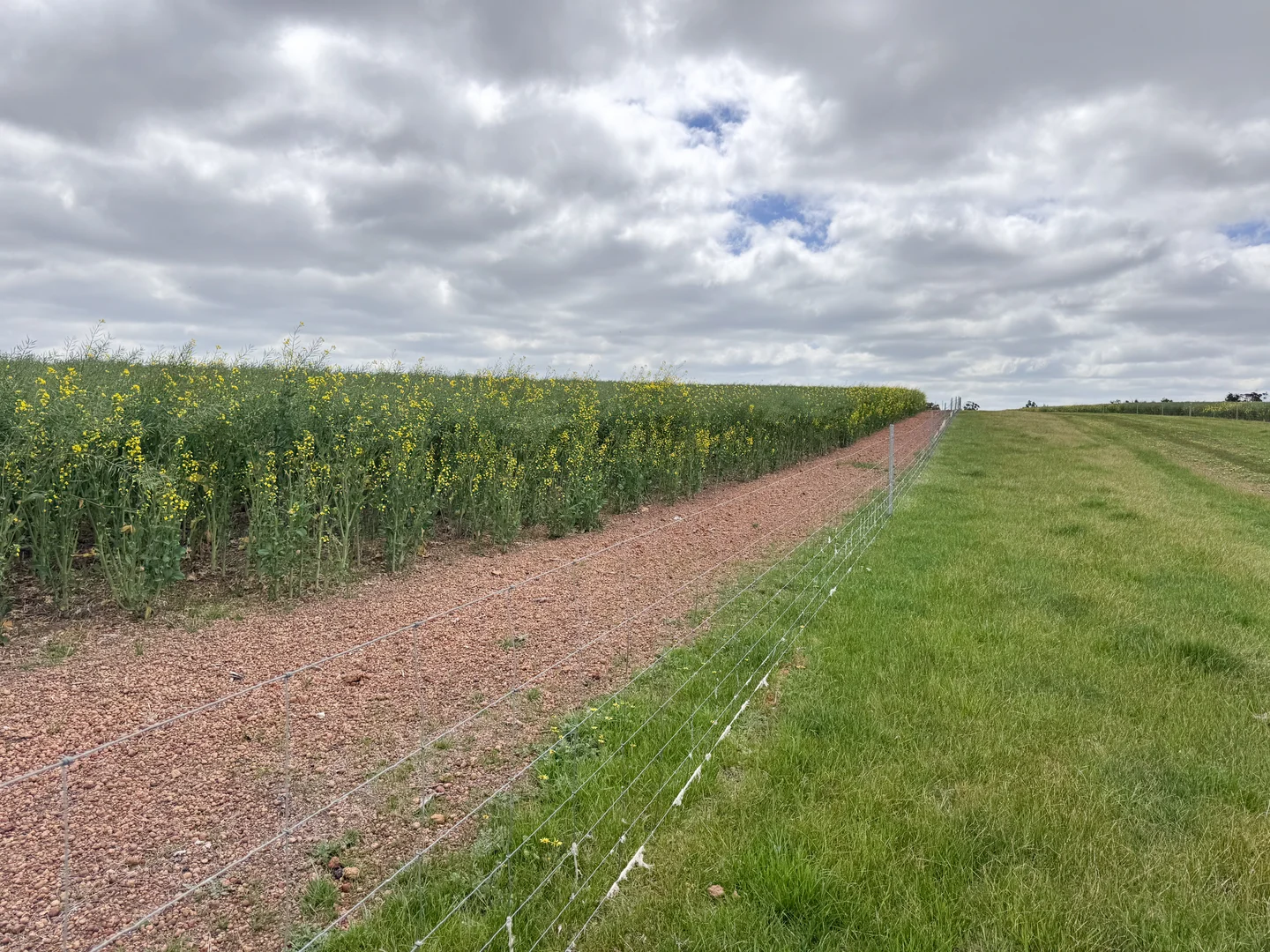 Image 25