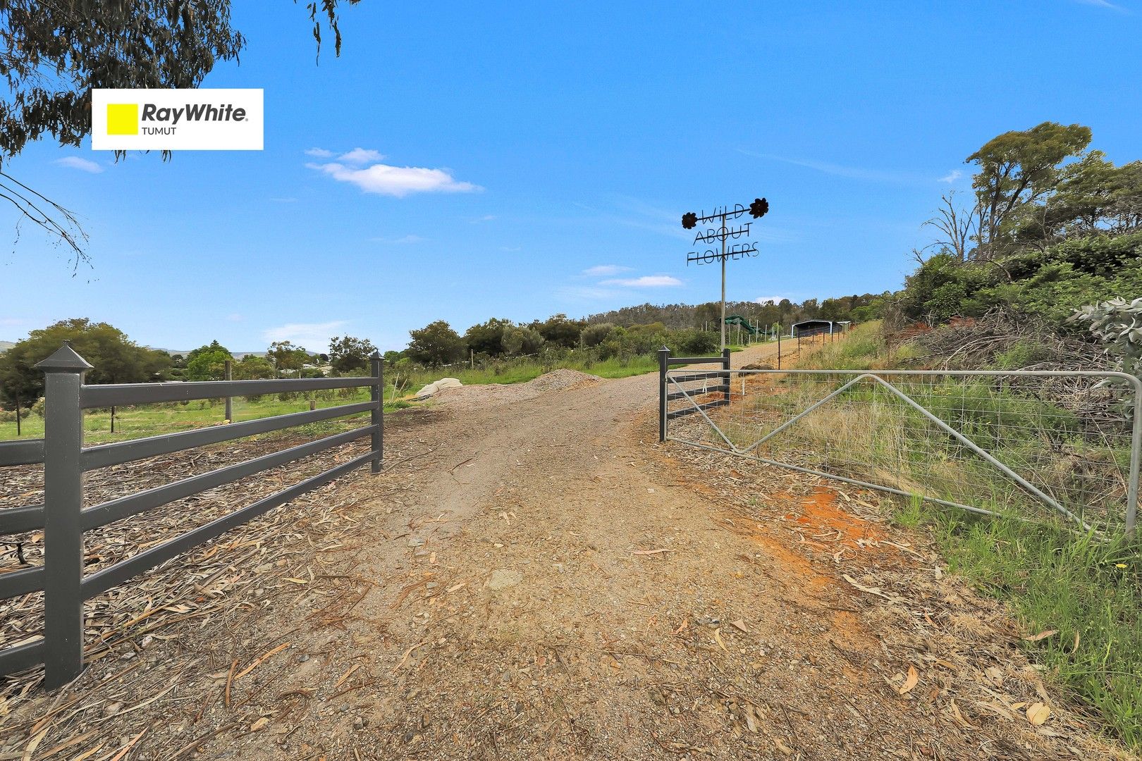 39 Mayday Road, Batlow NSW 2730 Domain