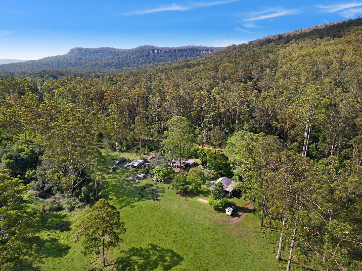 239 Waihou Forest Road, Glenreagh NSW 2450