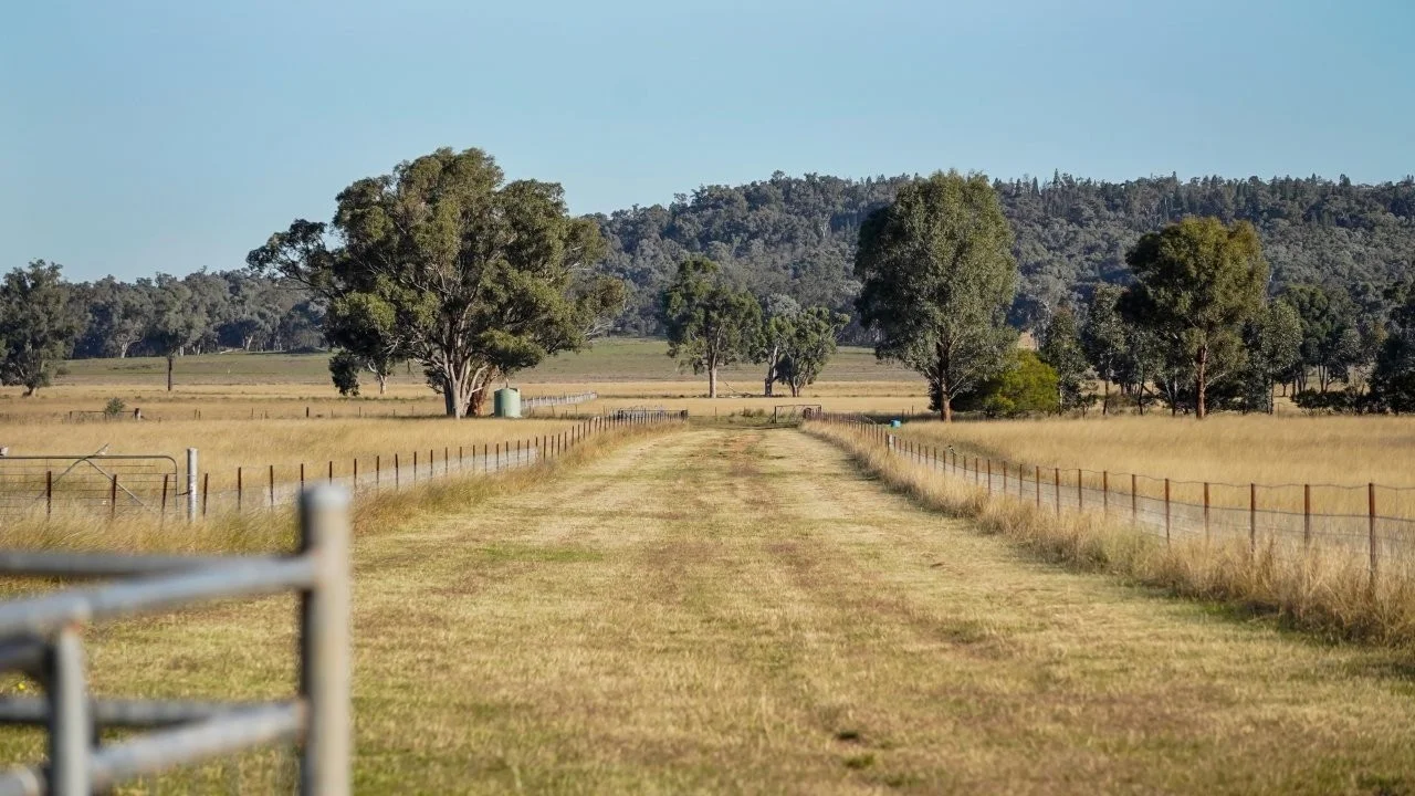Image 15