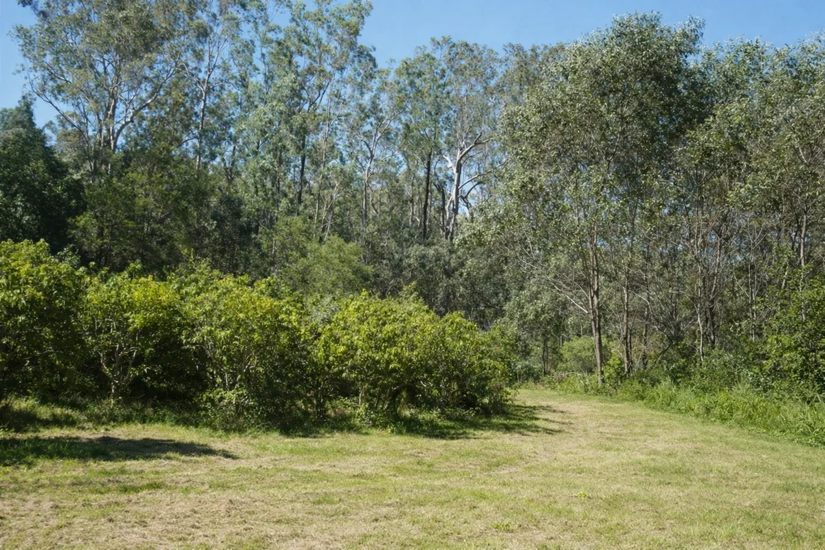 Image 42