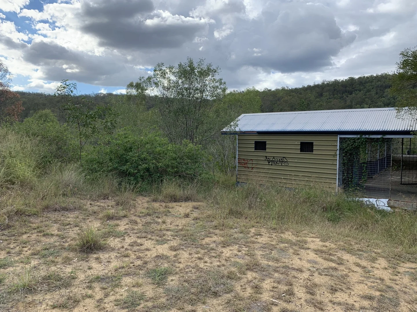 Image 15