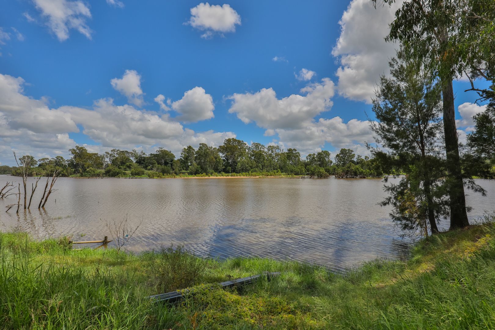 56 Millers Road, Duingal QLD 4671 Specialist Farm for Sale Domain