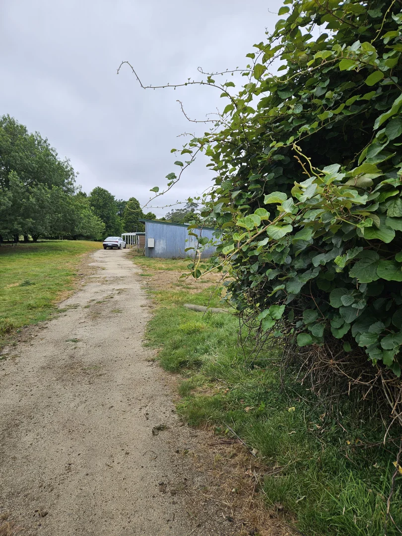 Image 30