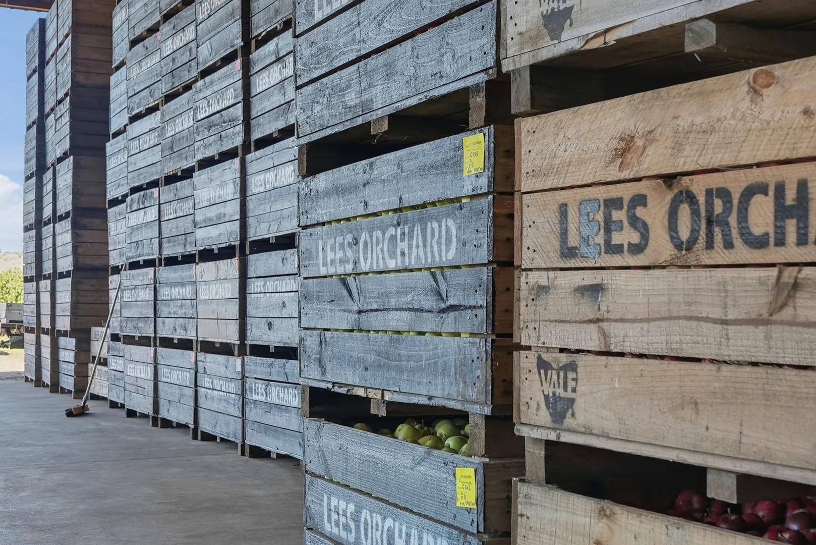 Additional image 4 of 161 John Lees Drive, Dilston TAS 7252