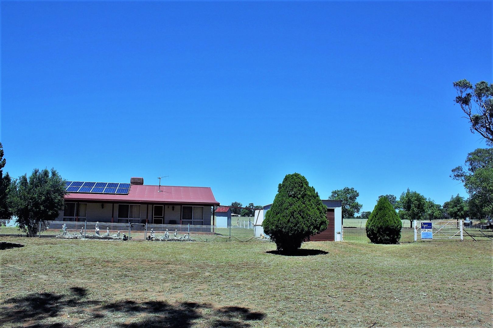 492 Sir Ivan Dougherty Drive, Dunedoo NSW 2844, Image 1