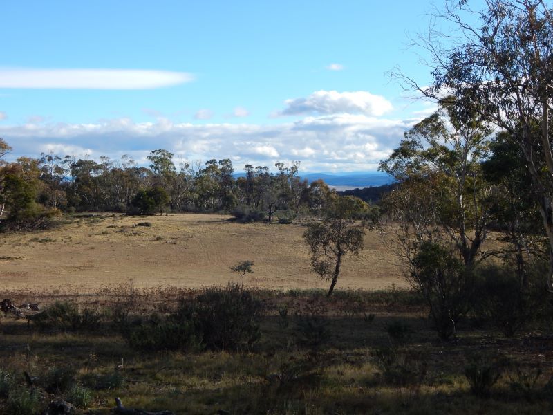 Lot 106 & 116 Collins Road, Numeralla NSW 2630, Image 0