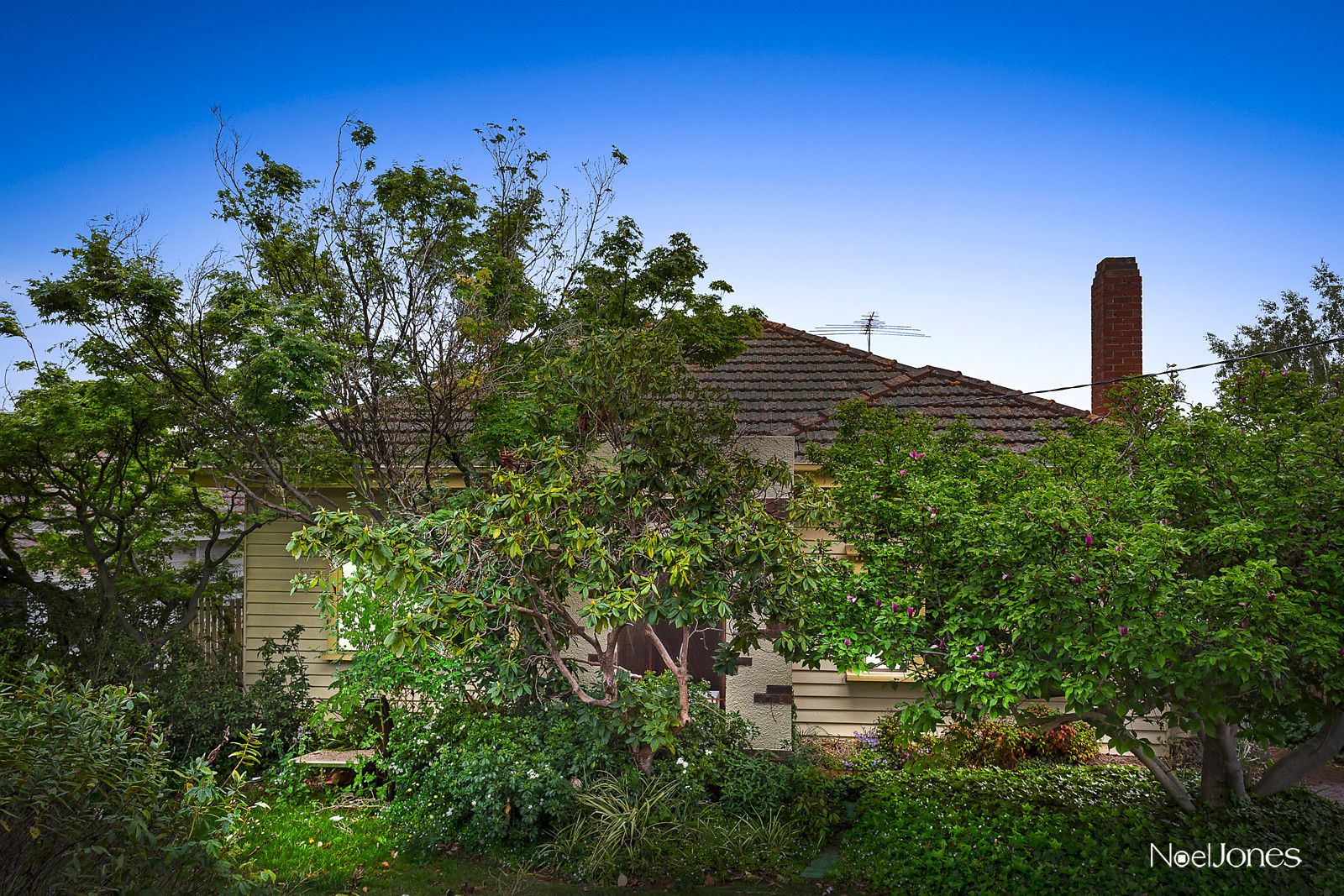 57 Cooloongatta Road, Camberwell VIC 3124, Image 0