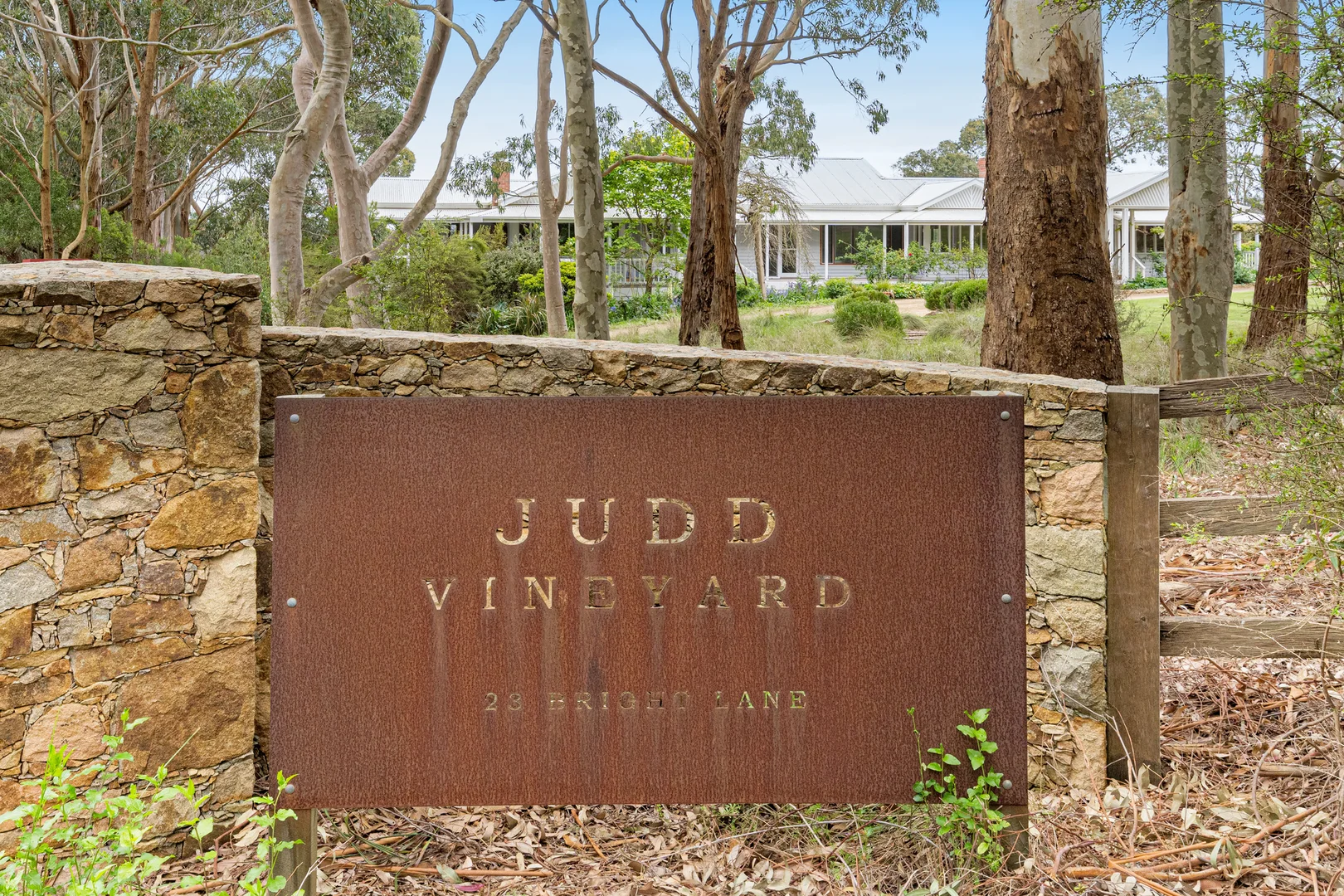 Image 13