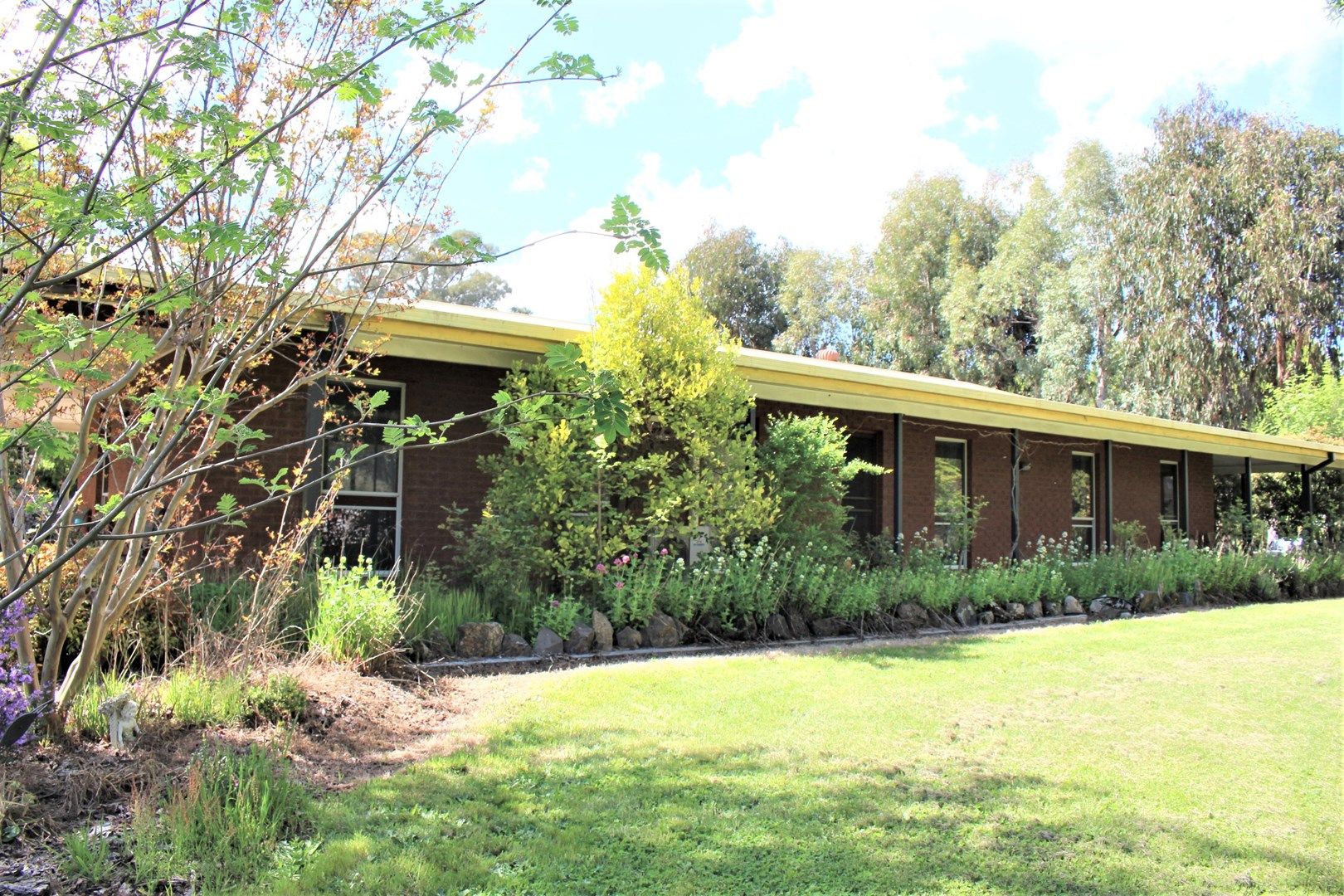 19 Booth Street, Tumbarumba NSW 2653, Image 0