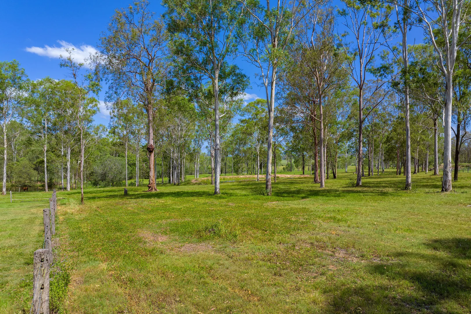 Additional image 16 of 100 Cullinane Road, Sexton QLD 4570