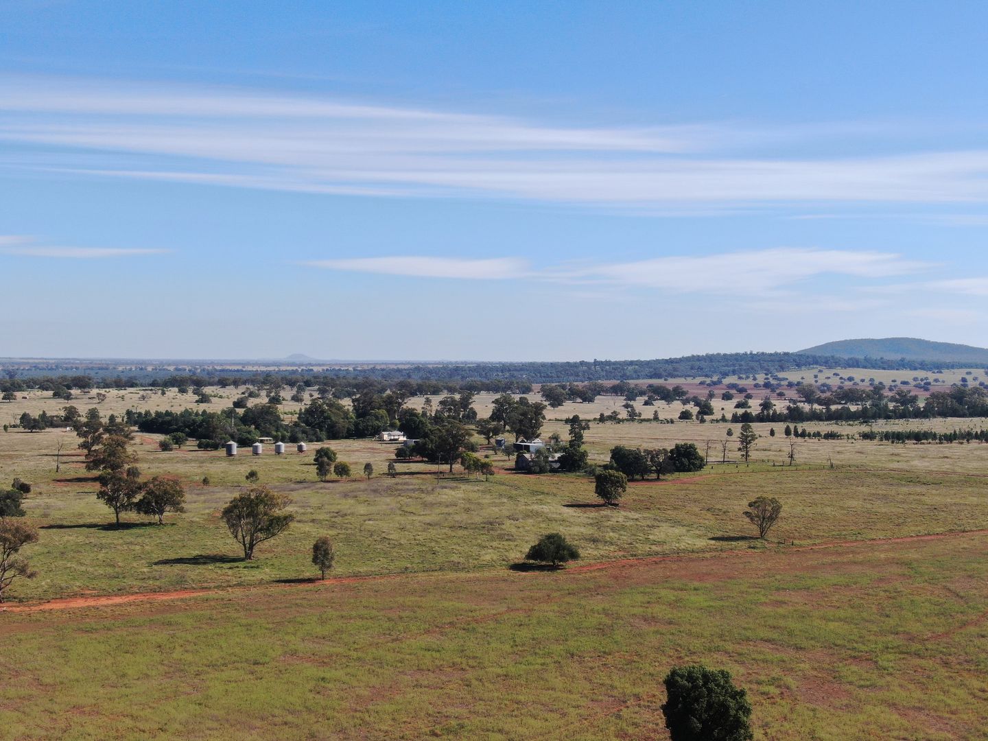 2275 Grassmere Road, Condobolin NSW 2877, Image 2