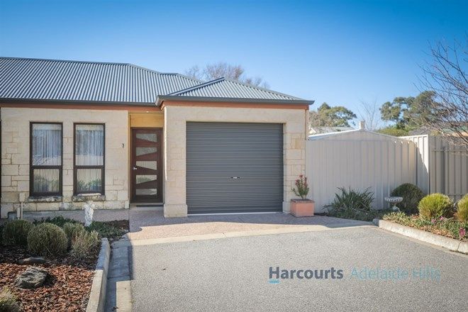 Picture of 17C Alexandrina Road, MOUNT BARKER SA 5251