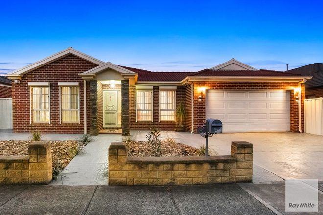 Picture of 46 Barwon Street, TAYLORS HILL VIC 3037