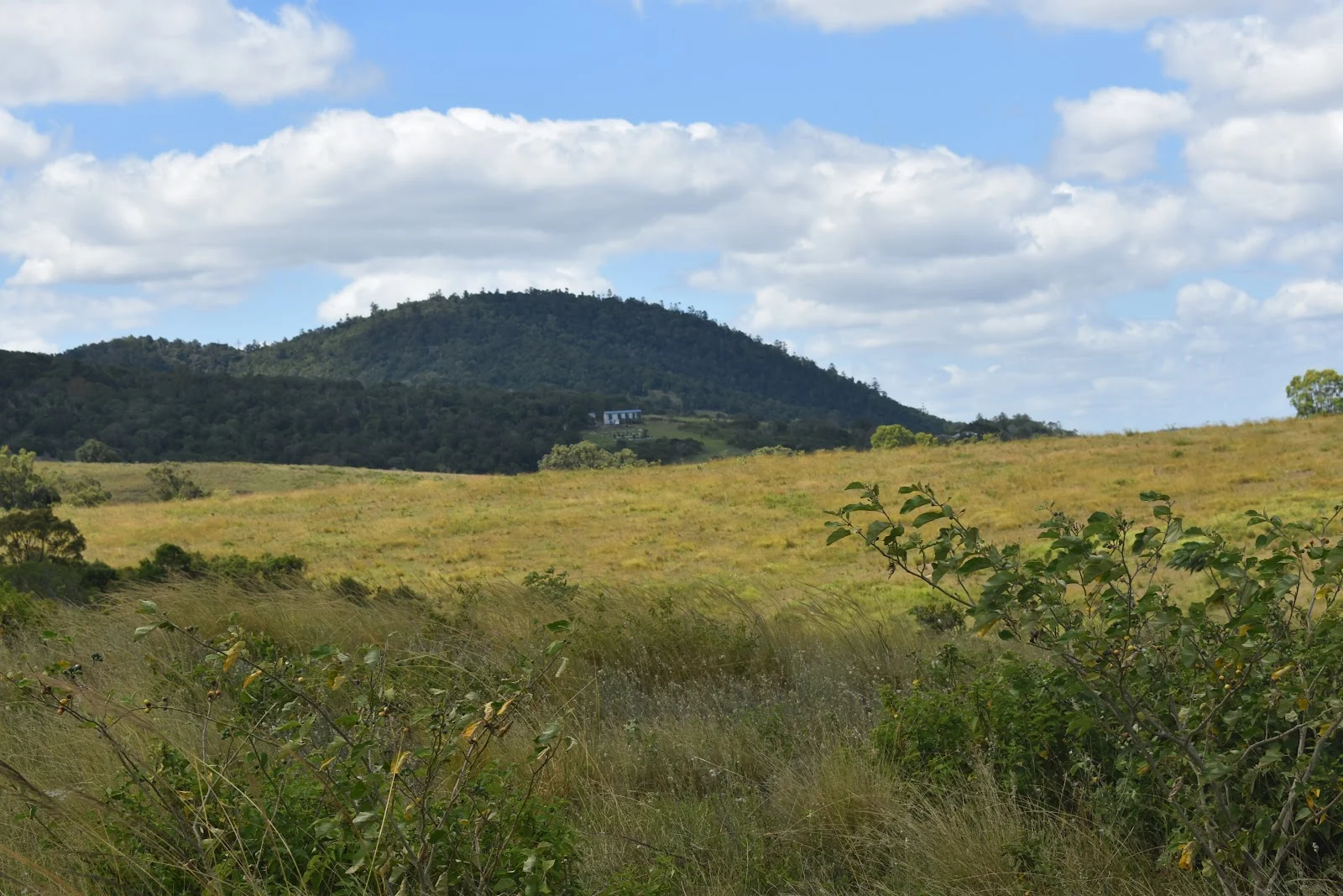 Additional image 10 of 35 Bakers Road, Bauple QLD 4650