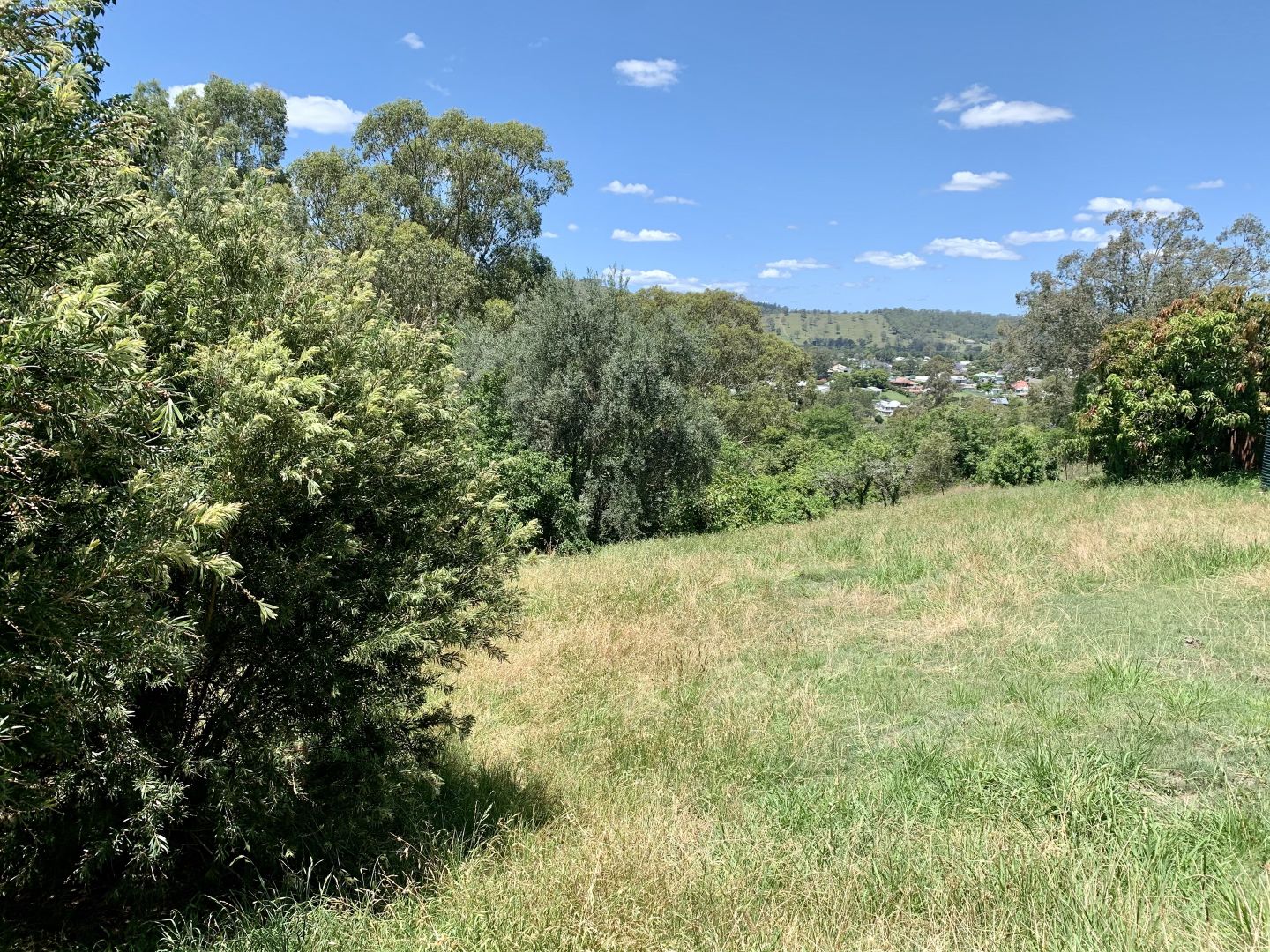 Lot 3, 85 DP262544 Chapman Street, Dungog NSW 2420, Image 1