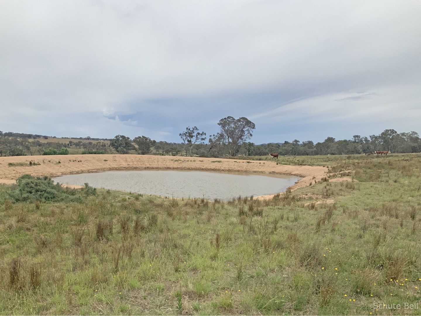 4572 Renshaw Mcgirr Way, Yeoval NSW 2868 House for Sale 3,800,000