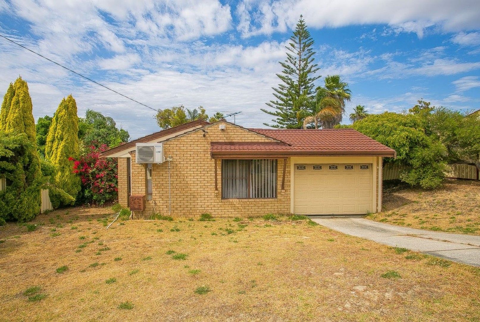 35 Dampier Loop, Mirrabooka WA 6061 House For Rent Domain