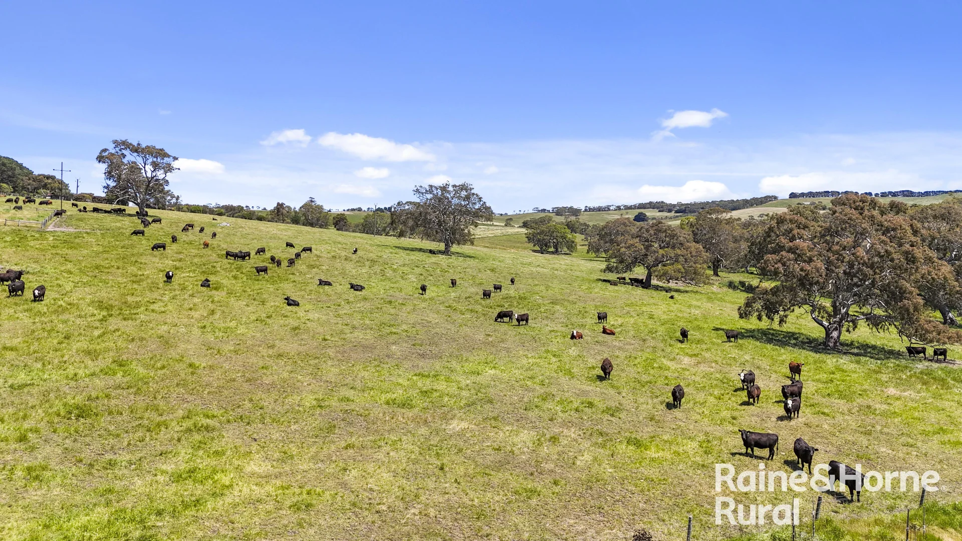 Additional image 19 of 25 Nosworthy Road, Inman Valley SA 5211