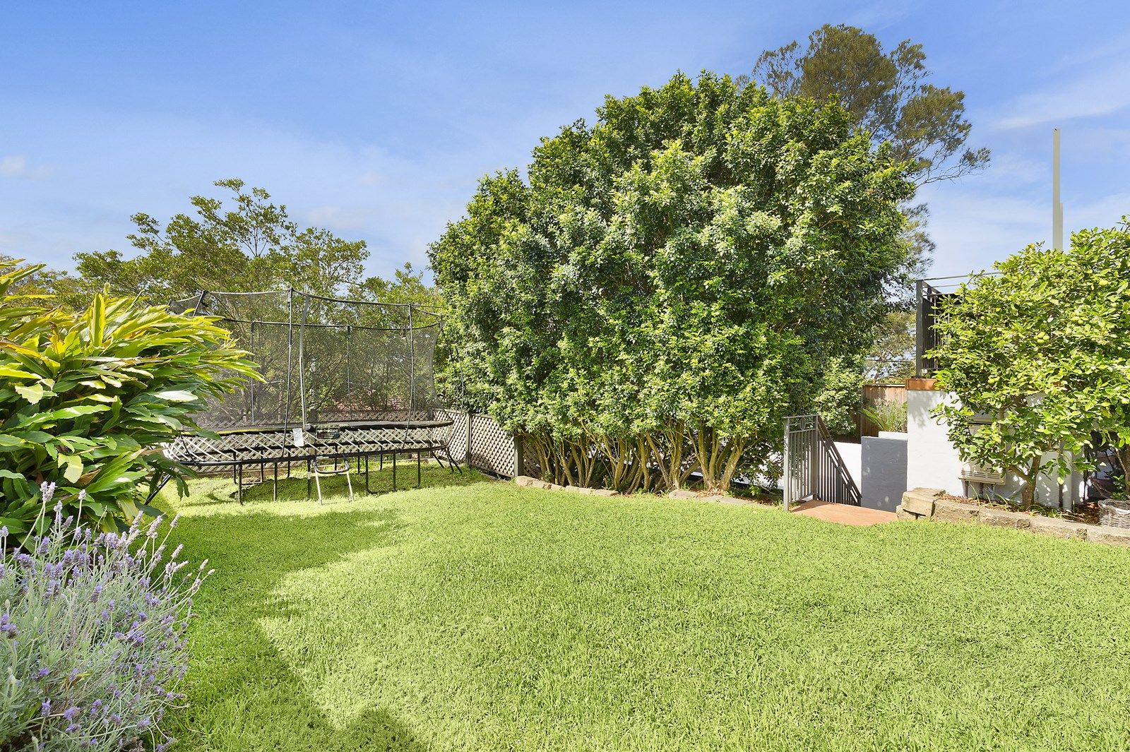 56 Frenchs Forest Road, Seaforth NSW 2092, Image 1