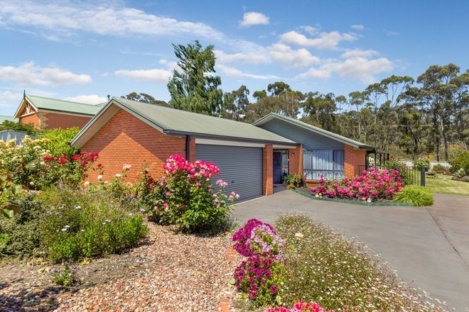 Picture of 81 Broad Parade, SPRING GULLY VIC 3550