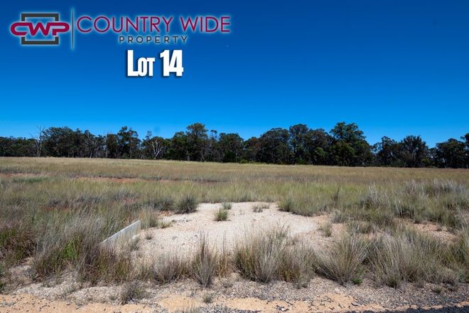 Picture of 14 Marshall Way, EMMAVILLE NSW 2371