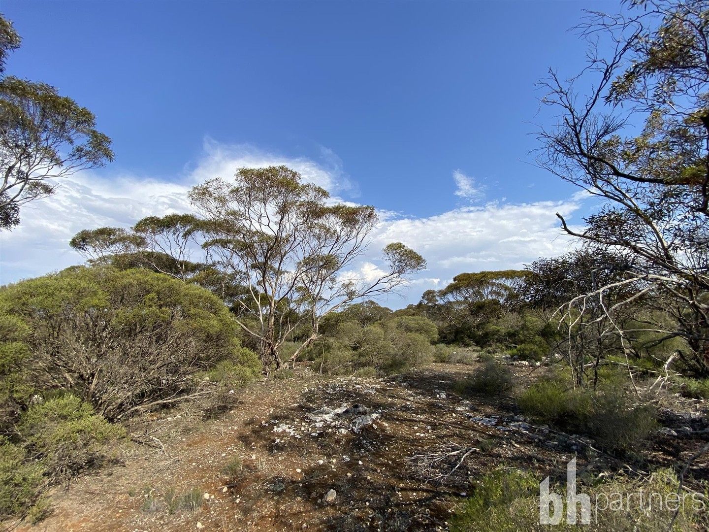 Lot 106 Jackson Road, Ettrick SA 5253, Image 0