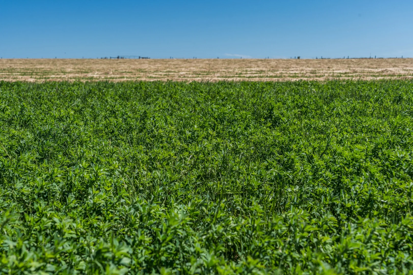 Additional image 13 of 1159 Inverleigh-Winchelsea Road, Inverleigh VIC 3321