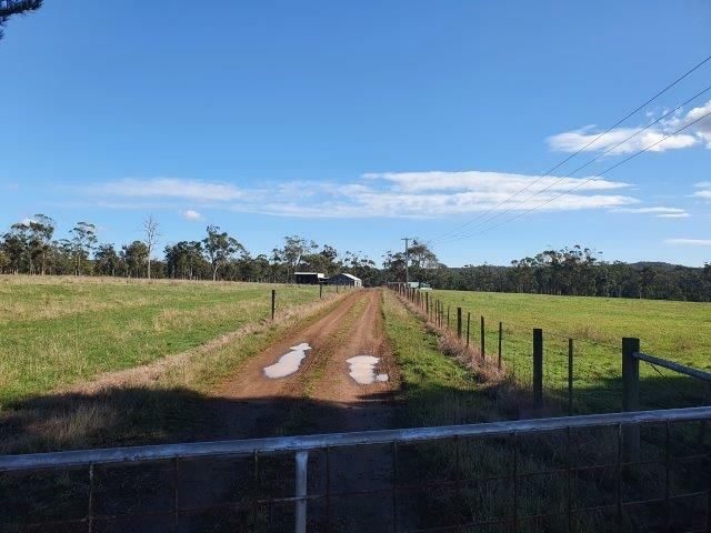 339 Back Creek Rd, Pipers River TAS 7252, Image 0