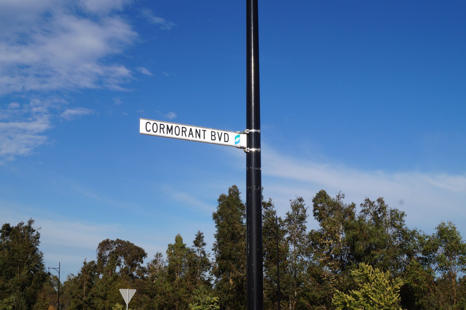 6 Cormorant Boulevard, Kialla VIC 3631, Image 2