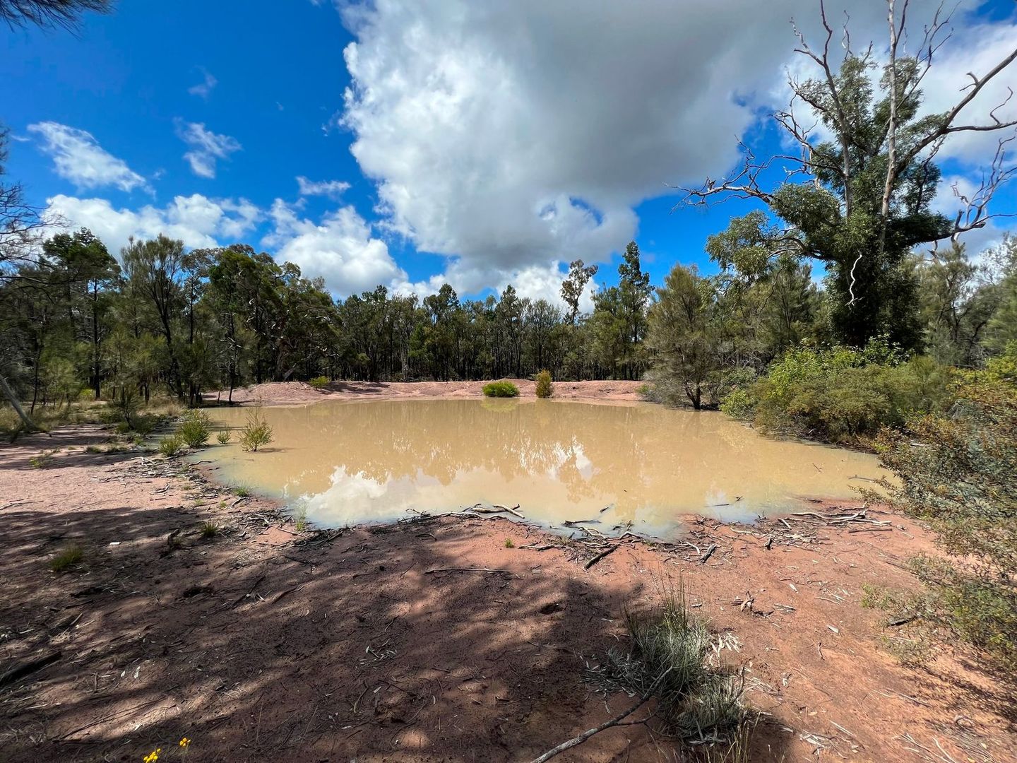 20 Emu Parade, Tara QLD 4421, Image 1