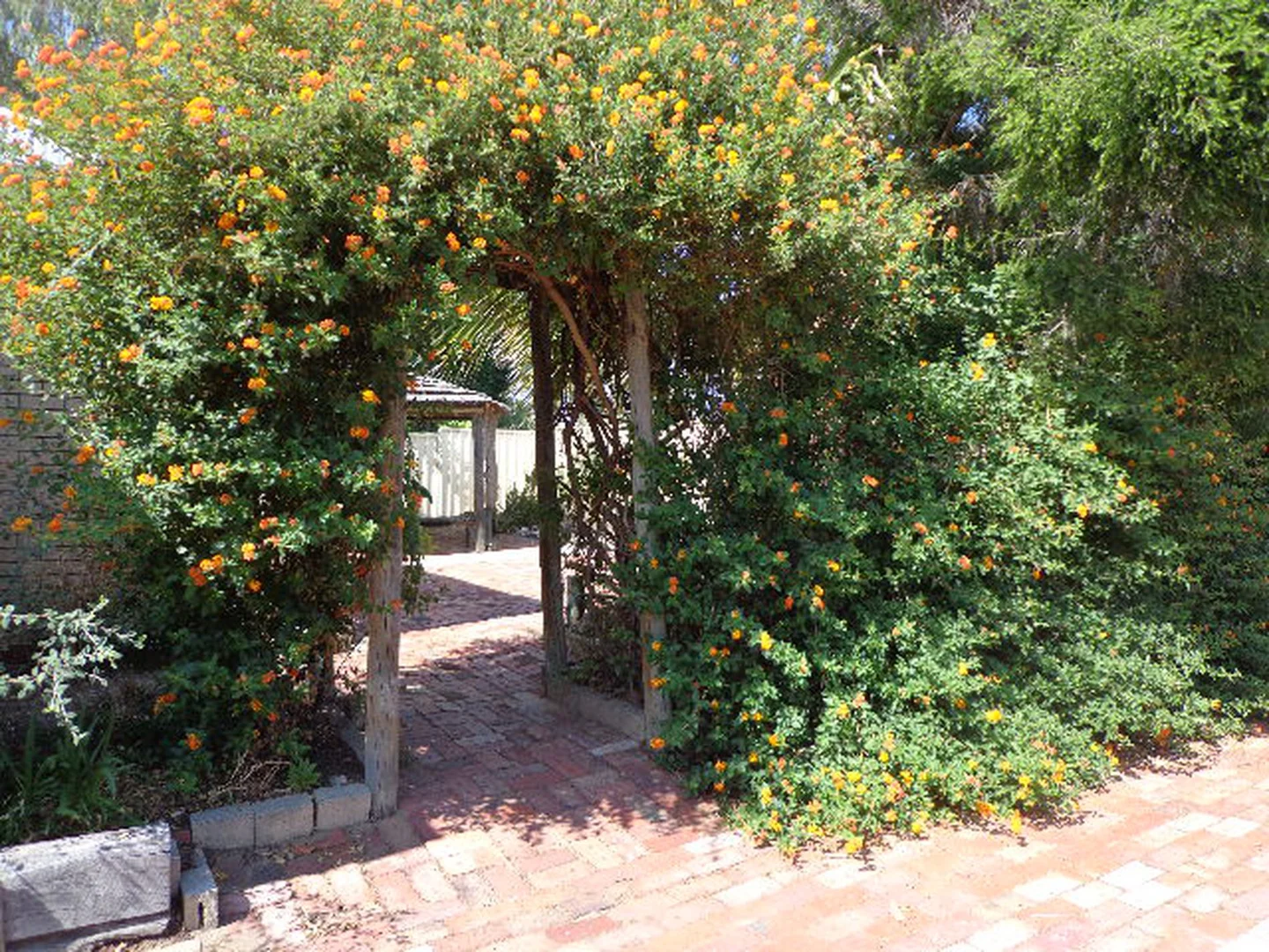 Additional image 13 of 5 Harriott Street, Willagee WA 6156