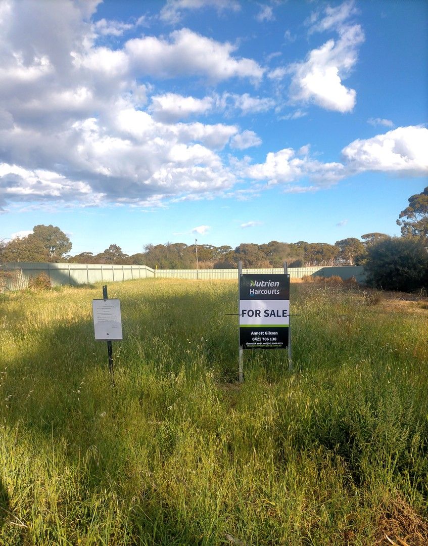 Lot 501 Leake Street, Doodlakine WA 6411, Image 0