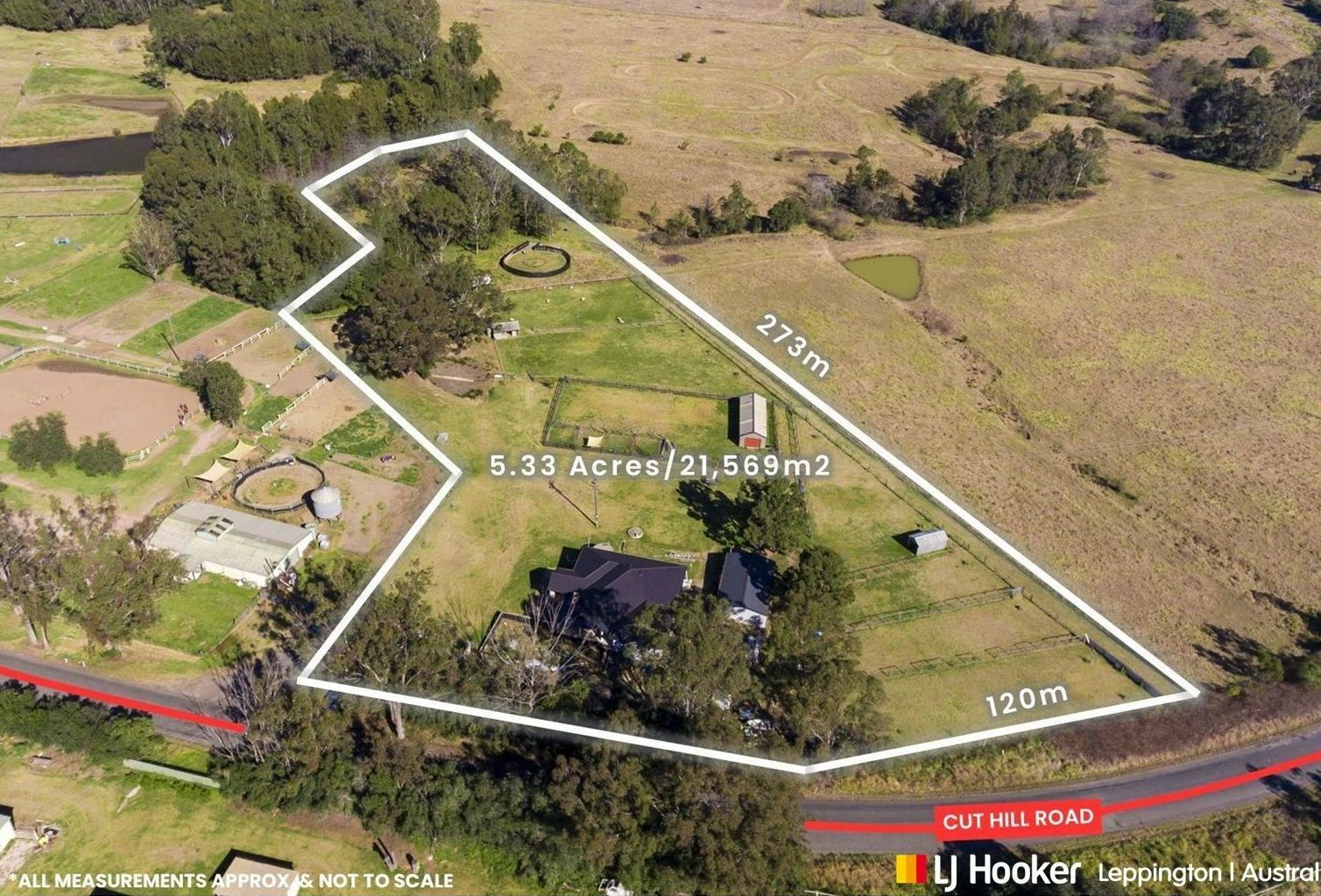 305 Cut Hill Road, Cobbitty NSW 2570, Image 0