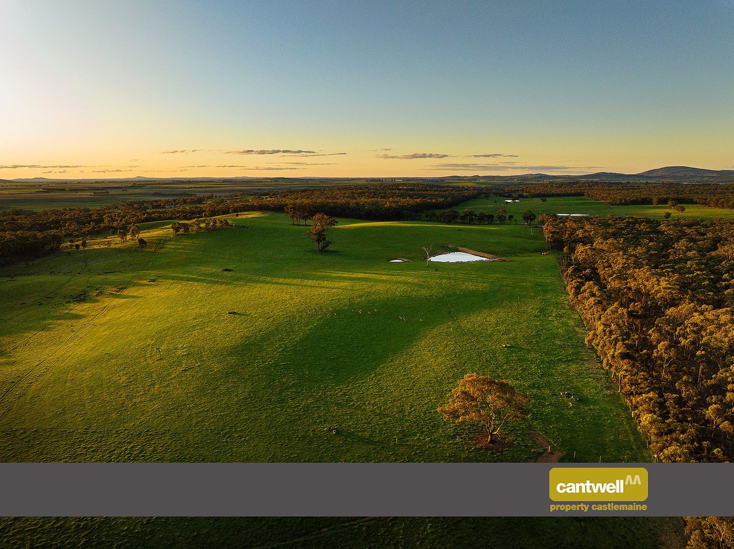 Lot 79 O'callaghans Road, Campbelltown VIC 3364 Vacant Land for Sale