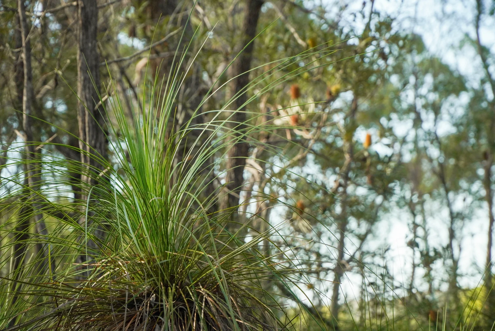 Image 15